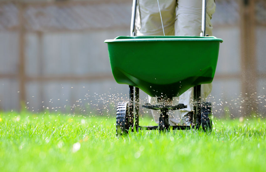 Lawn-FertilizationLawn-Fertilization-01 Lawn-Fertilization