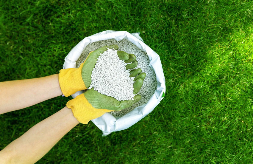 Lawn-Fertilization Hardscape Builder