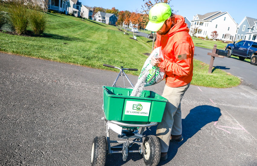 Aeration Lawn Service Aeration Lawn Service