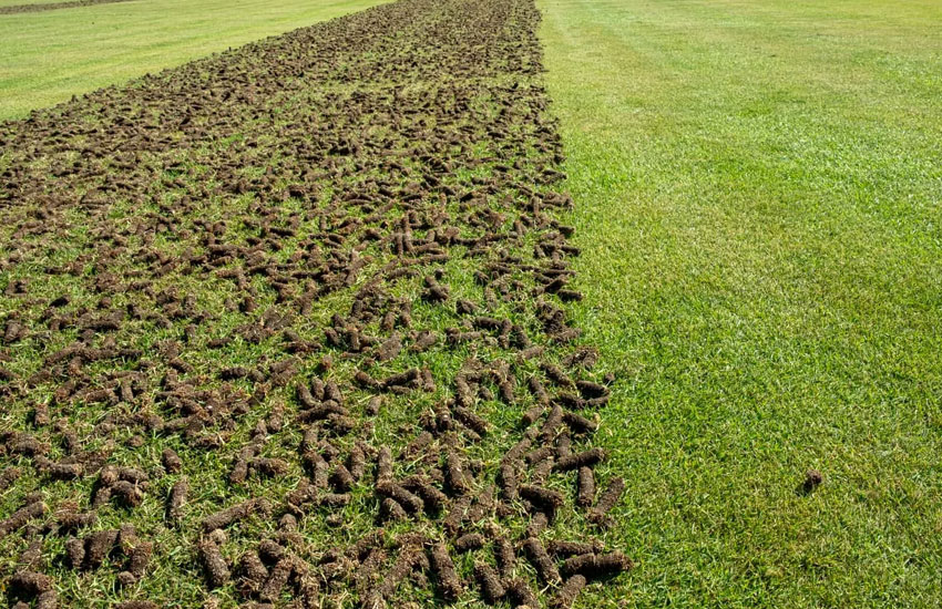 Aeration Lawn ServiceAeration-02 Aeration Lawn Service